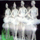 Swan Lake, Video adaptation
