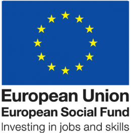 ESF Logo - The Logo that is used to denote anything related to the ESF - Europea