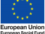 ESF Logo - The Logo that is used to denote anything related to the ESF - Europea